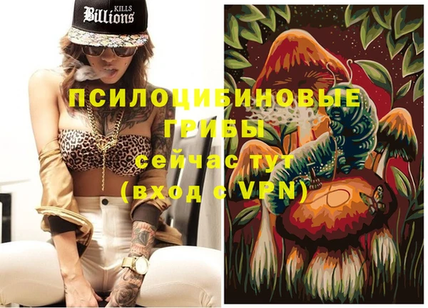 прущие крисы Абинск
